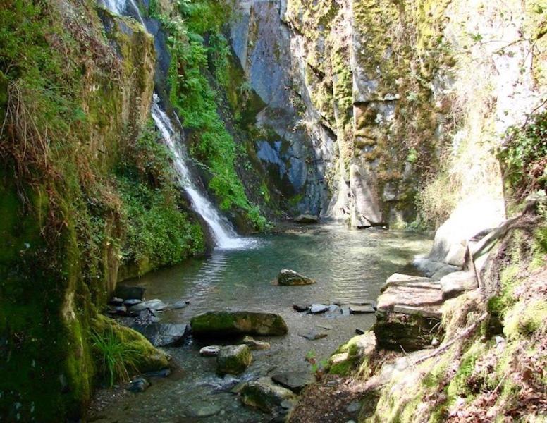 فيلا Aradas, Pampilhosa Da Serra, Casa Da Oliveira, Wifi, Ar Condicionado, Churrasqueira, Parqueamento, By Ig Unhais-o-Velho المظهر الخارجي الصورة